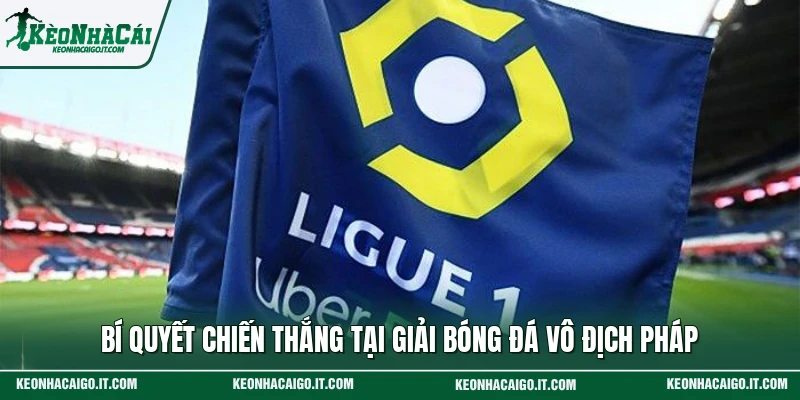 Bí quyết chiến thắng tại giải bóng đá vô địch Pháp