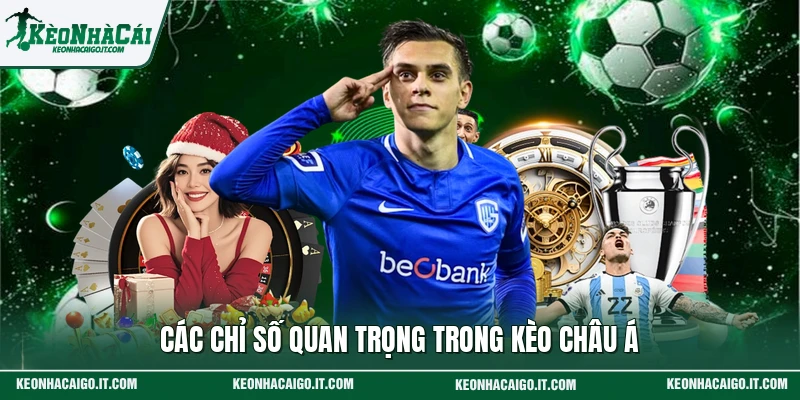 Các chỉ số quan trọng trong kèo châu Á