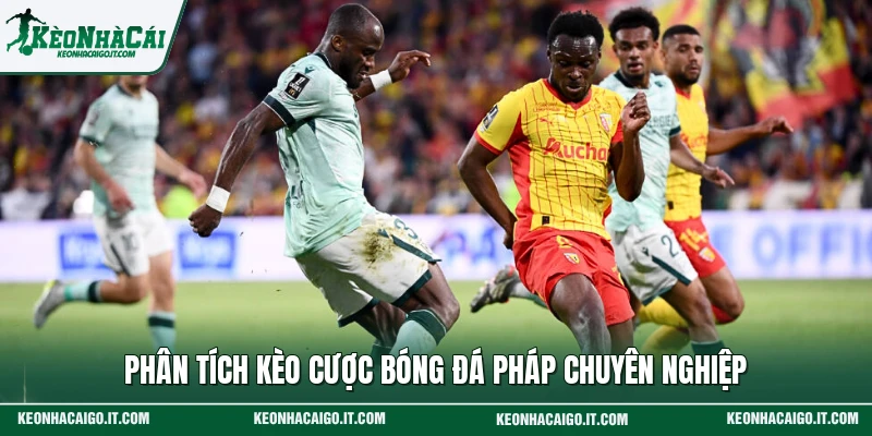 Phân tích kèo cược bóng đá Pháp chuyên nghiệp