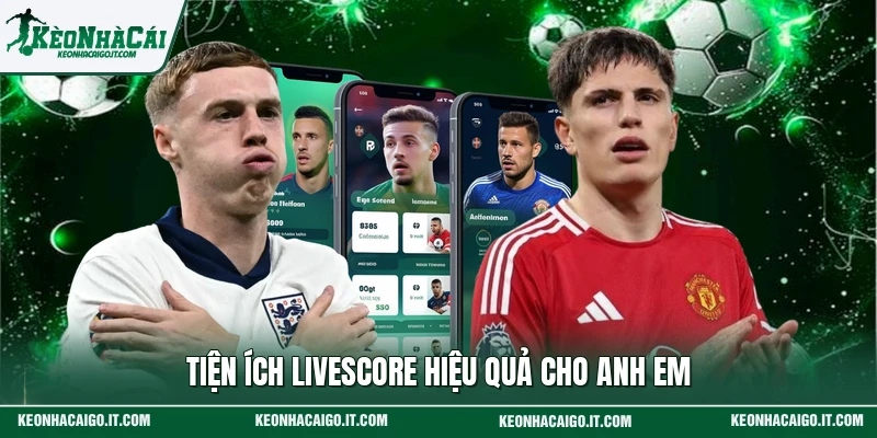 Tiện ích livescore hiệu quả cho anh em