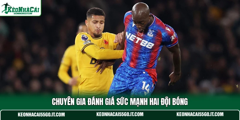 Chuyên gia đánh giá sức mạnh hai đội bóng